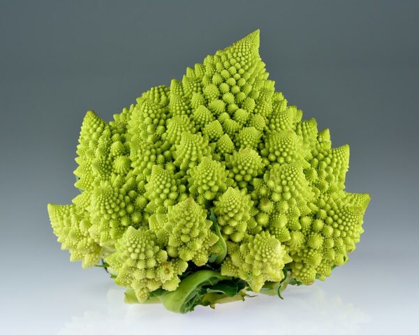 Chou Romanesco