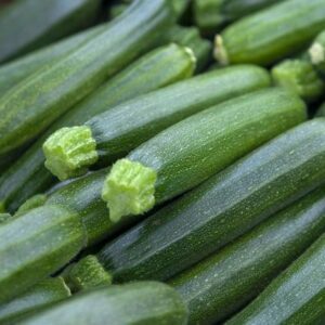Courgettes vertes