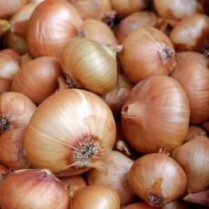 Oignons