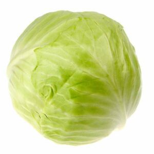 Chou vert lisse