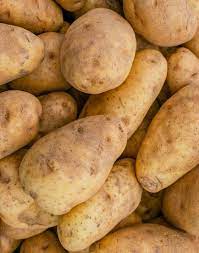 Pommes de terre Bintje
