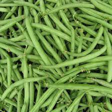 Haricots verts fins
