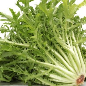 SALADE FRISEE