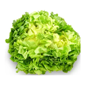 SALADE SCAROLE